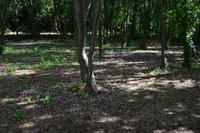 145 Krka Nationalpark