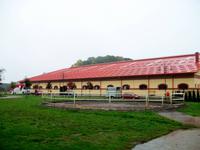 Djakovo, Lipizzaner- Gestüt