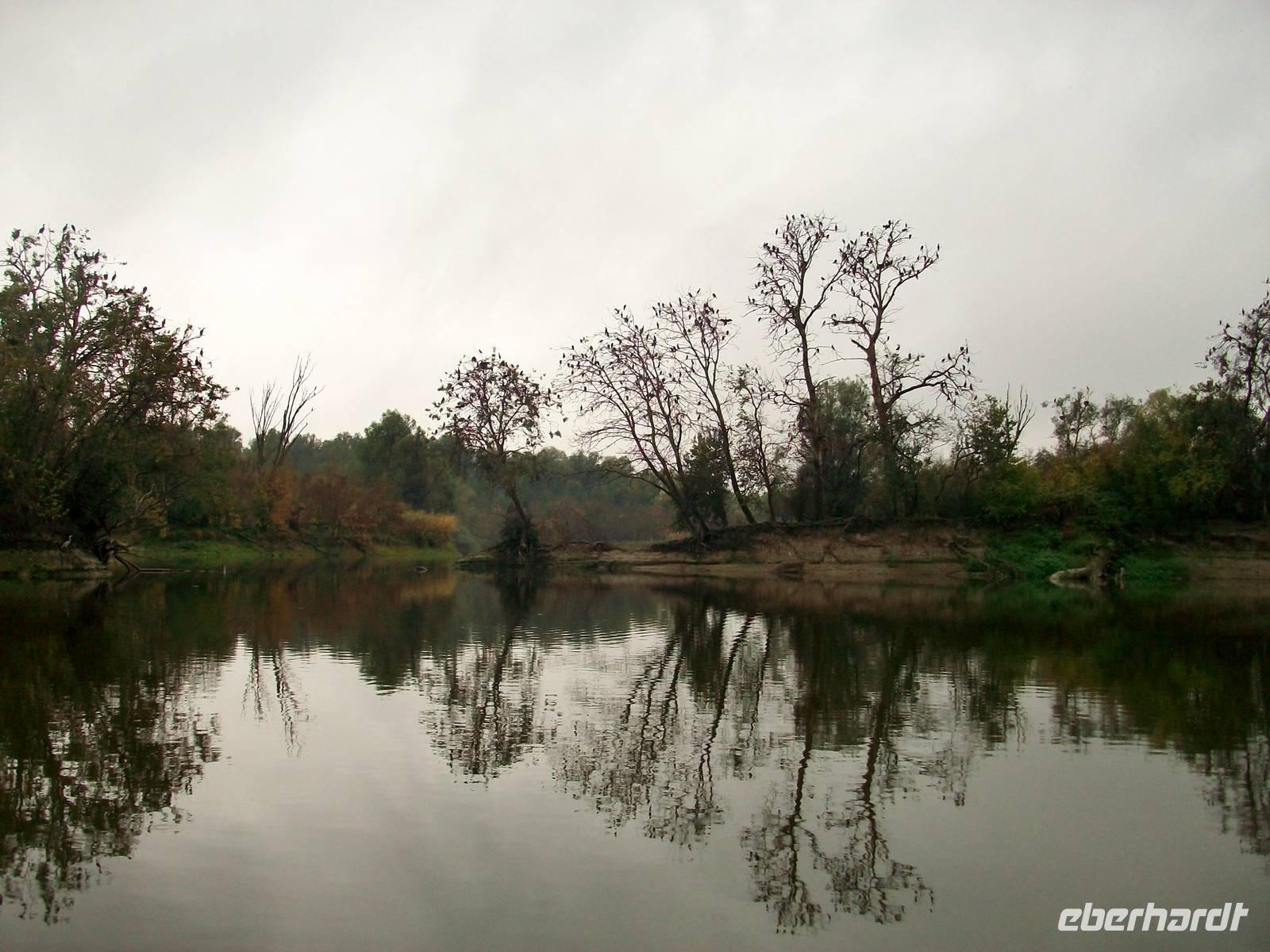 Kopacki Rit, Naturpark