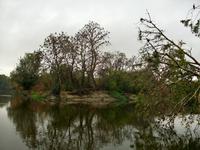 Kopacki Rit, Naturpark