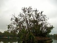 Kopacki Rit, Naturpark