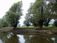 Kopacki Rit, Naturpark