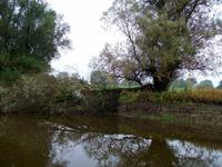 Kopacki Rit, Naturpark