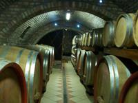 Sarengrad, Weinprobe