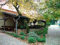 Ilok, Besuch des Weinkellers