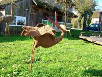 Krapje im Naturpark Lonjsko Polje