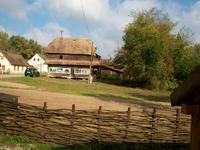 Krapje im Naturpark Lonjsko Polje
