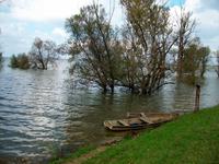 Naturpark Lonjsko Polje