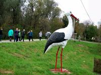 Cigoc, das Storchendorf