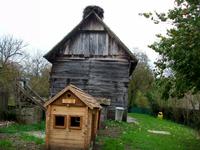 Cigoc, das Storchendorf