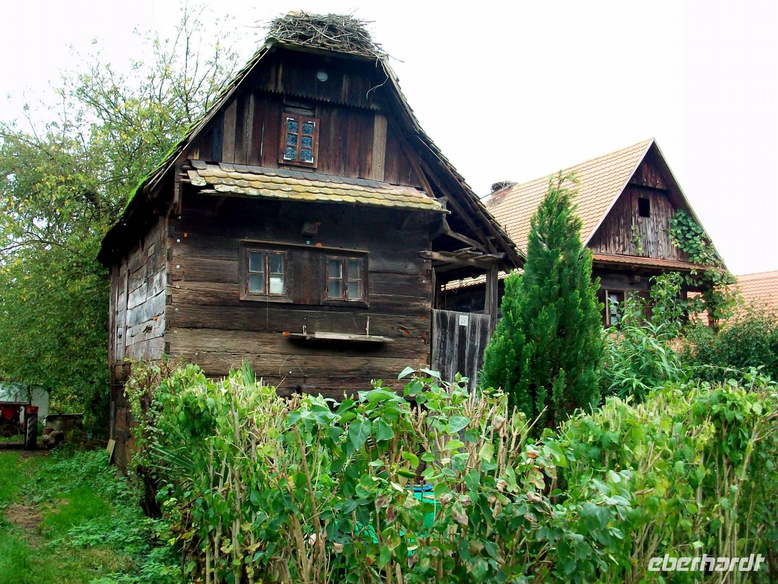 Cigoc, das Storchendorf