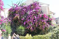 Stadtführung in Split