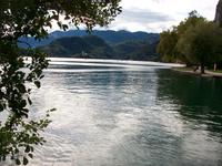Bled 