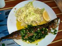 Schifffahrt im Nationalpark der Kornaten 