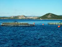 Schifffahrt im Nationalpark der Kornaten 