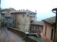 Urbino