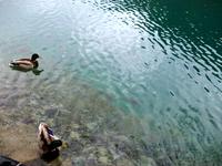 UNESCO - Welterbe Plitwitzer Seen