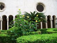 UNESCO - Welterbe Dubrovnik