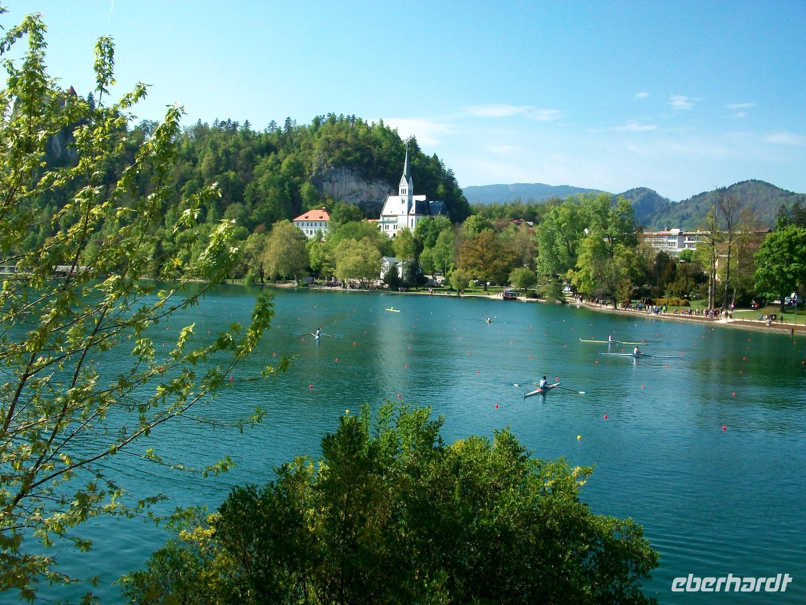 Bled