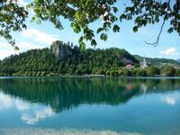 Bled