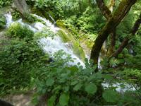 Nationalpark Plitwitzer Seen