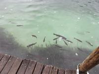 Nationalpark Plitwitzer Seen