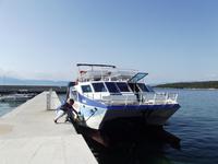 Unser Glasbodenkatamaran