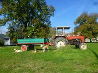 Trüffeltag in Buzet