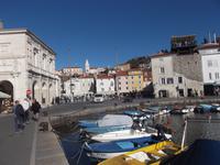 Piran, Hafen