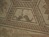 Pula, Fußbodenmosaik einer ehemaligen römischen Villa, Detail