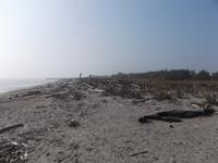 angeschwemmt: Sandbank an der Po-Mündung