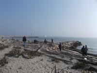 angeschwemmt: Sandbank an der Po-Mündung