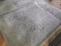 Classe bei Ravenna, Apollinariuskirche, Reste eines Fußbodenmosaiks