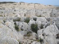 IMG_0042 Klippen am Kap