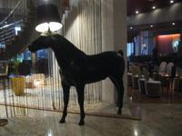 IMG_0046 ein Pferd an der Bar