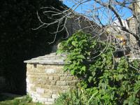 IMG_9884 Unterschlupf