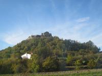IMG_9944 Buzet