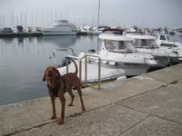 IMG_9977 ich pass auf