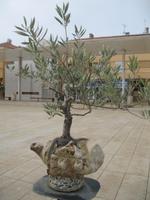 IMG_9982 Marktgestaltung