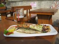 IMG_9990 Fischplatte mit Spülung