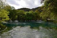 NP Krka