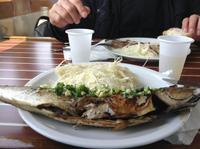 unser Mittagessen auf See, Makrele oder Schwein, frisch gegrillt