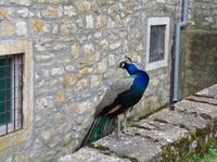 und er hat sich auch schön gemacht