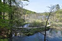 098 NP Plitvicer Seen