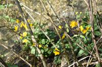 101 NP Plitvicer Seen42