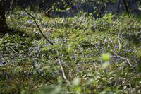 102 NP Plitvicer Seen