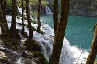 105 NP Plitvicer Seen