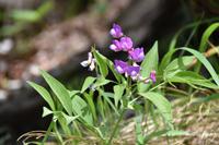 110 NP Plitvicer Seen