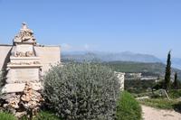 184 Dubrovnik, Berg Sred