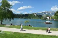 264 Bleder See mit Burg Bled und Karavanken